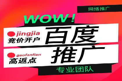 竞价广告如何助力XX企业实现业绩增长